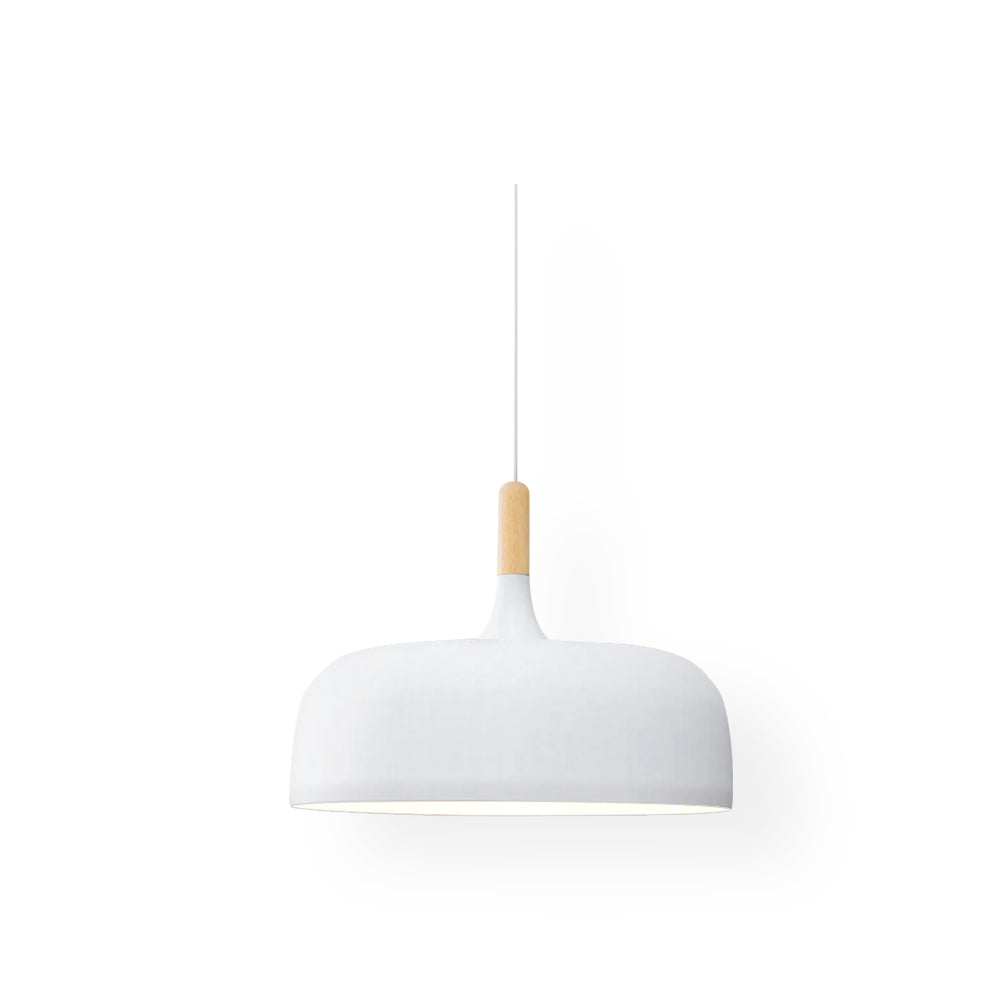 Montara Artisan Brass Pendant Light with Sculpted Glass Shade