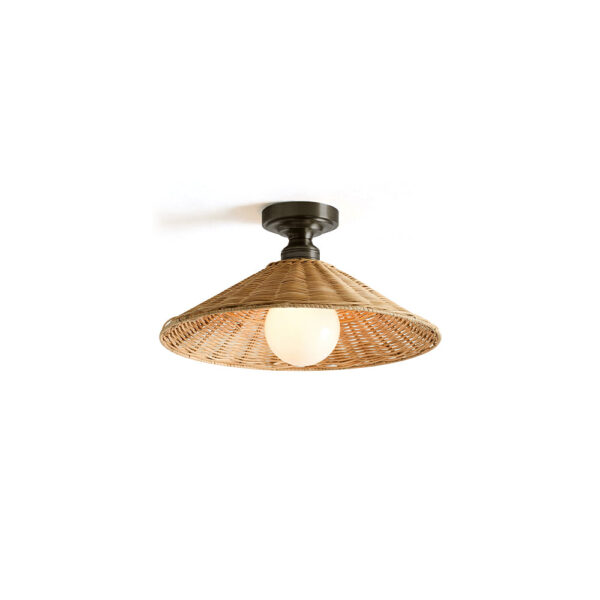 Serafina Frosted Glass Dome Ceiling Light with Brushed Brass Trim