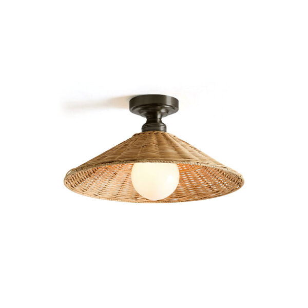 Ceiling Lamp