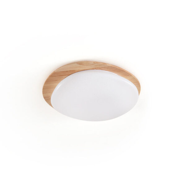 Portofino Sculpted Glass Ceiling Light with Brushed Brass Detail