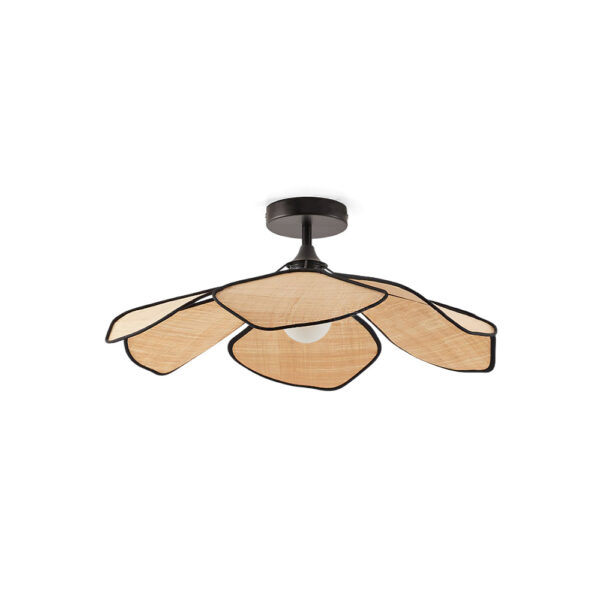 Avora Crystal Pendant Light with Brushed Brass Accents