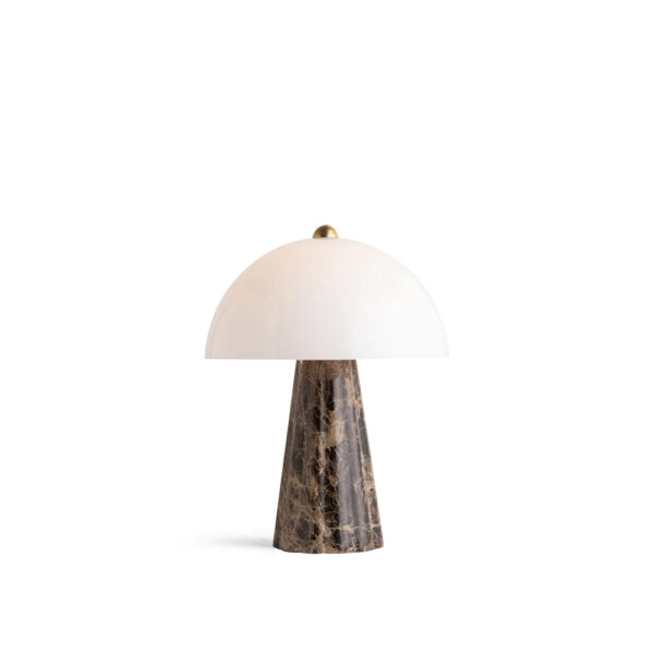 Sculptural Brass Light Fixture