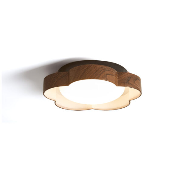Lorenza Suspended Pendant Light